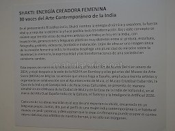 Exposición de Pintura Shakti
